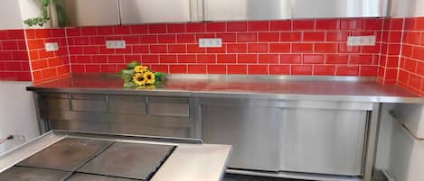 Eine Küche mit Edelstahlmöbeln, einer roten Küchenrückwand und einer Arbeitsplatte mit Sonnenblumenmuster.