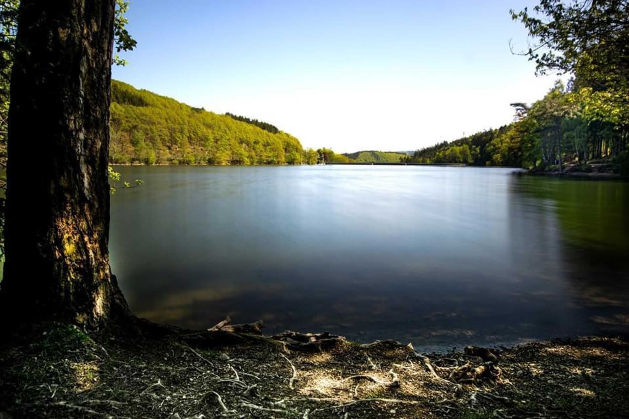 Ein ruhiger See, umgeben von bewaldeten Hügeln.