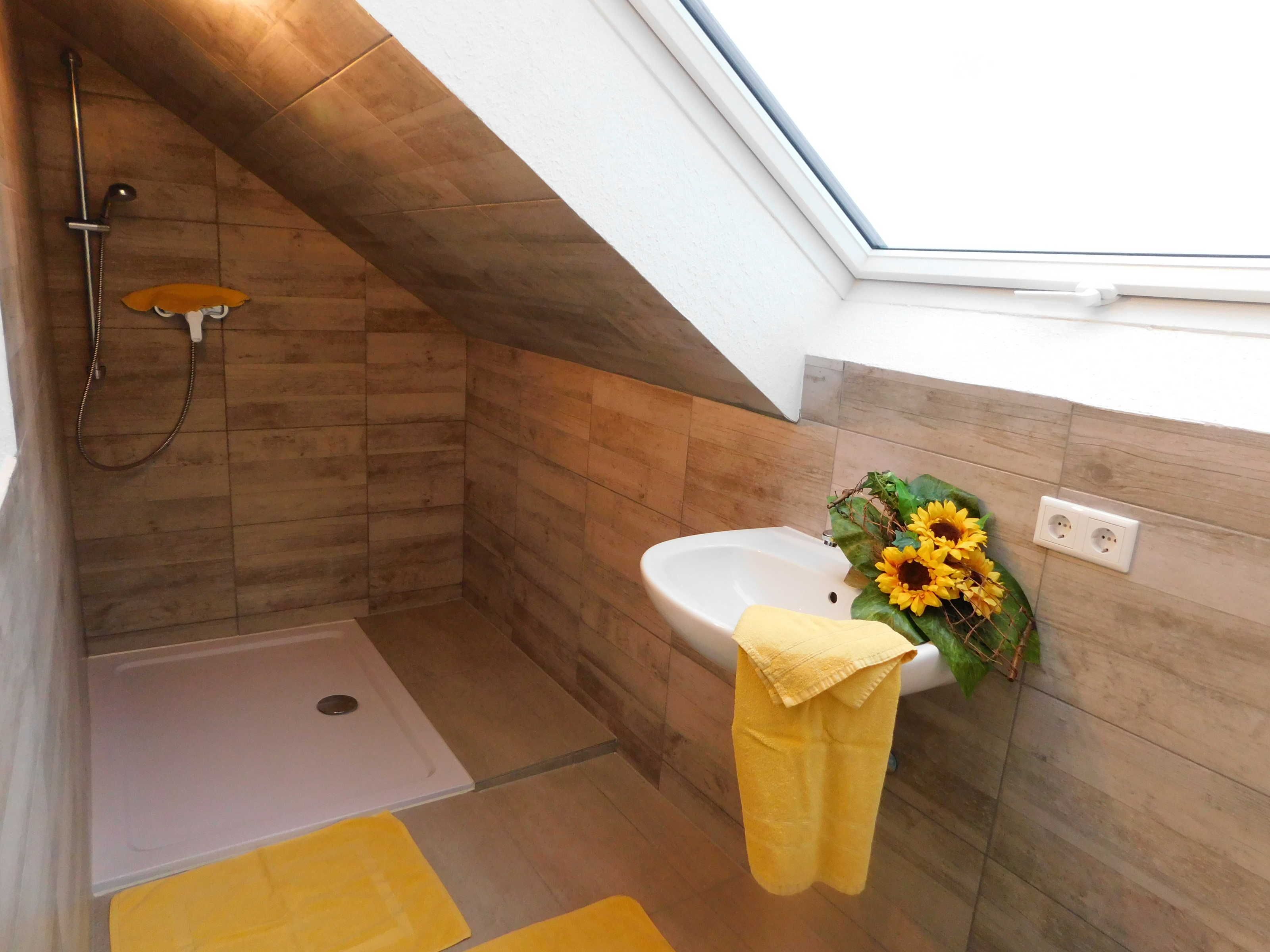 A bathroom with a shower, a sink, and a skylight.