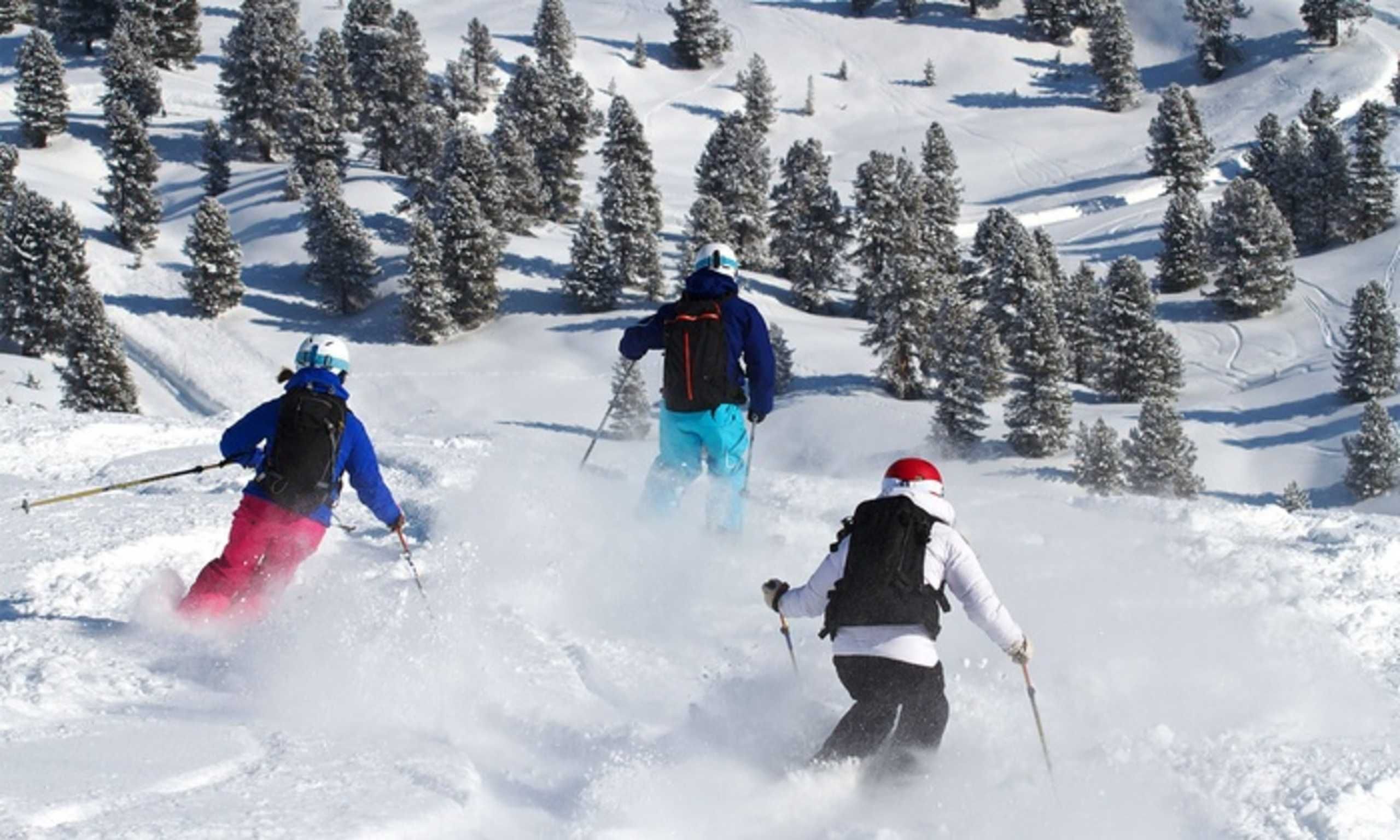 Skiërs op een besneeuwde helling, met bomen op de achtergrond.