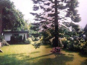 Ein Garten mit Rasen, einem großen Nadelbaum und einem kleinen Strauch mit rosa Blüten.