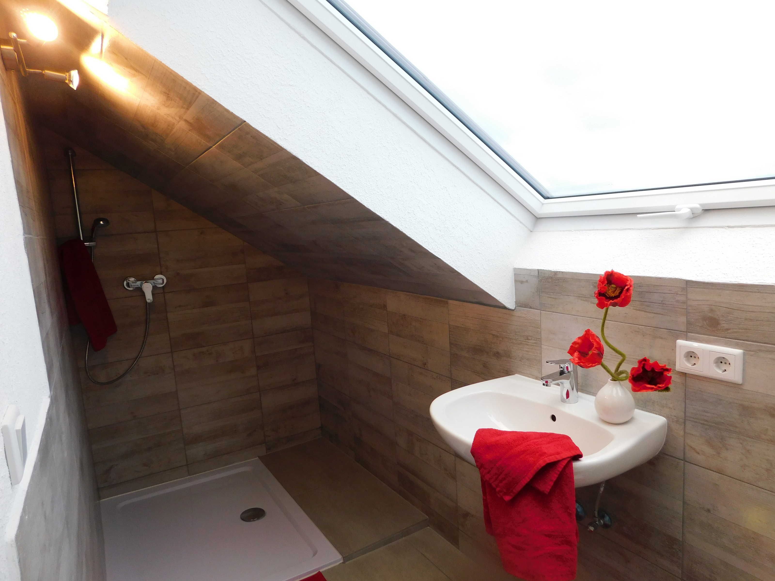 A small bathroom with a shower, a sink, and a skylight.