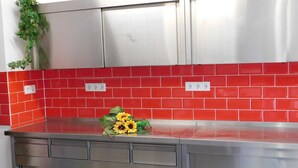 A kitchen with red tiled backsplash, stainless steel cabinets, and a countertop with a plant. - Apartment Winterberg 7 persons - Guesthouse Astenblick also for small groups (Winterberg)
