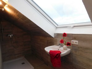 Shower, hair dryer, towels, toilet paper