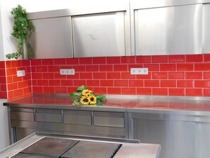A kitchen with red tiled backsplash, stainless steel cabinets, and a countertop with a plant.