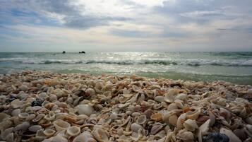 Beach towels, motor boating, fishing