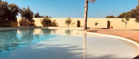 A swimming pool with clear water, surrounded by a low wall and palm trees.