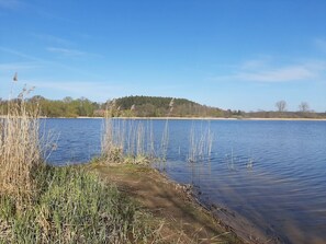 Unclassified image, 2 of 42, button