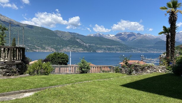 A grassy area with a stone wall, a palm tree, and a view of a lake with mountains in the background.