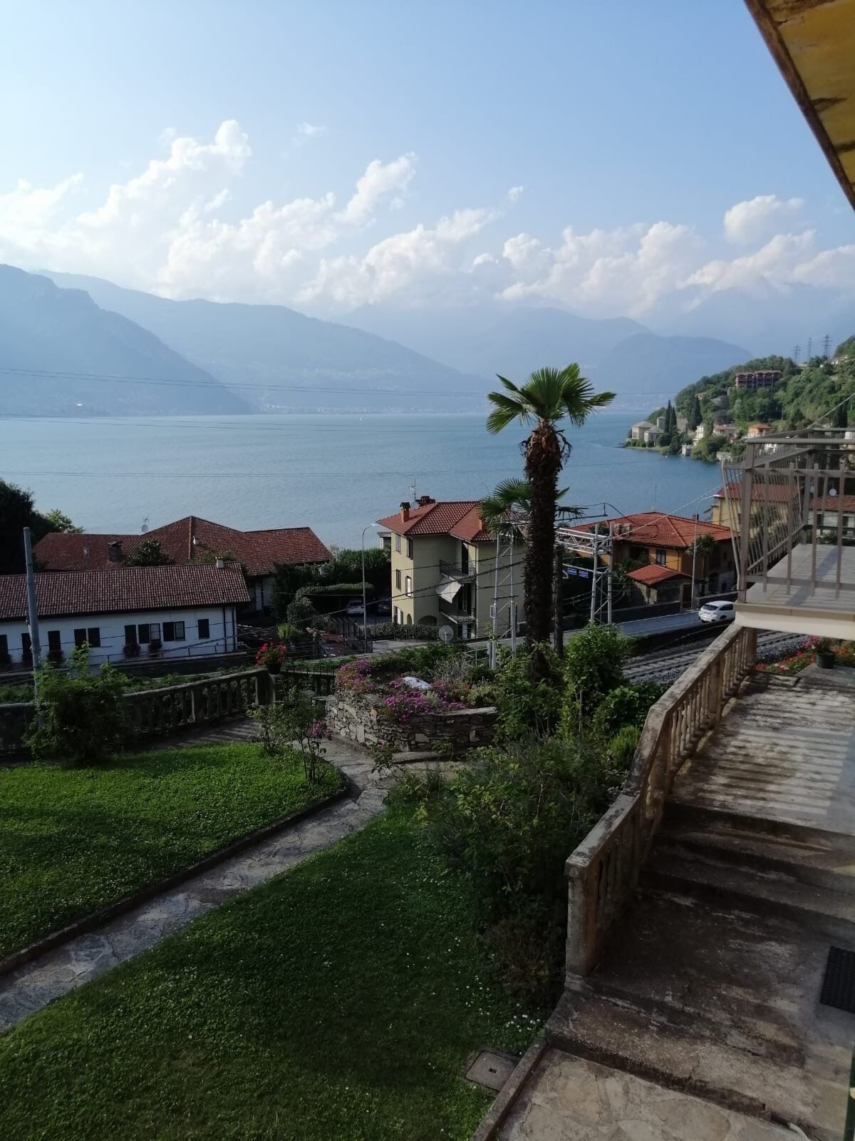 A residential area with houses, a palm tree, and a view of a lake and mountains.