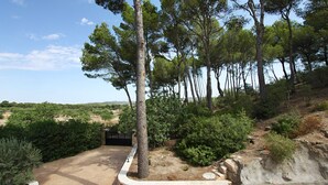 Un camino pavimentado que conduce a un edificio con un muro de piedra y una reja, rodeado de árboles y arbustos.