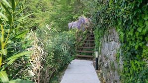 Ein Weg, der von dichtem Grün und einer Steinmauer gesäumt wird.