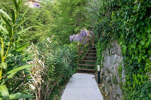 A pathway flanked by dense greenery and a stone wall. - Apartment "Residence La Mignon Terrazza" with Lake View, Air Conditioning & Terrace (Torri del Benaco)