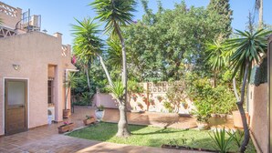 A courtyard with a tiled floor, palm trees, potted plants, and a building with a door and window.