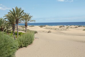 A sandy beach with palm trees and a clear sky. - Cozy Apartment "1B SRV" Near the Sea with Wi-Fi and Fans (VECINDARIO)