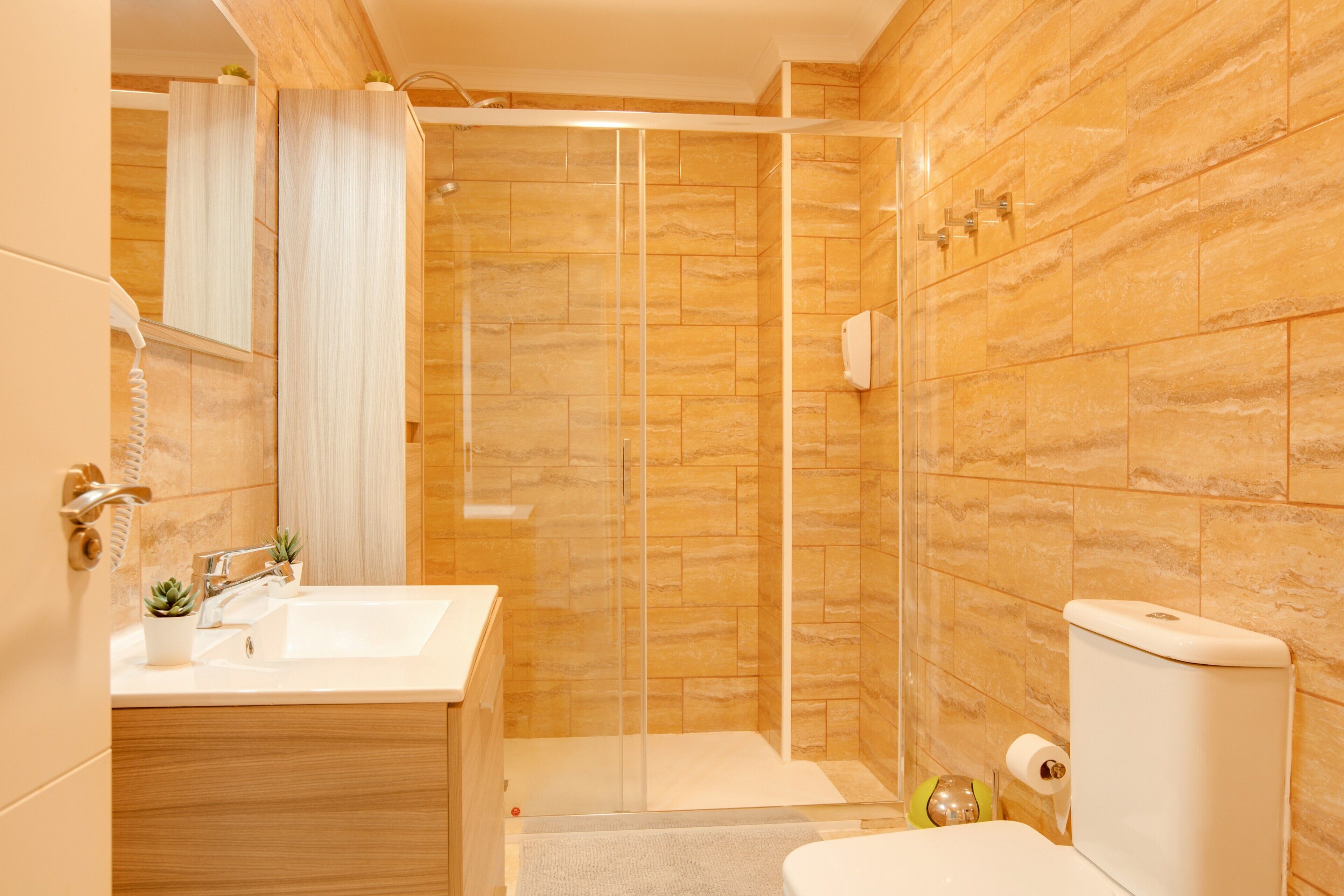 Shower, hair dryer, towels