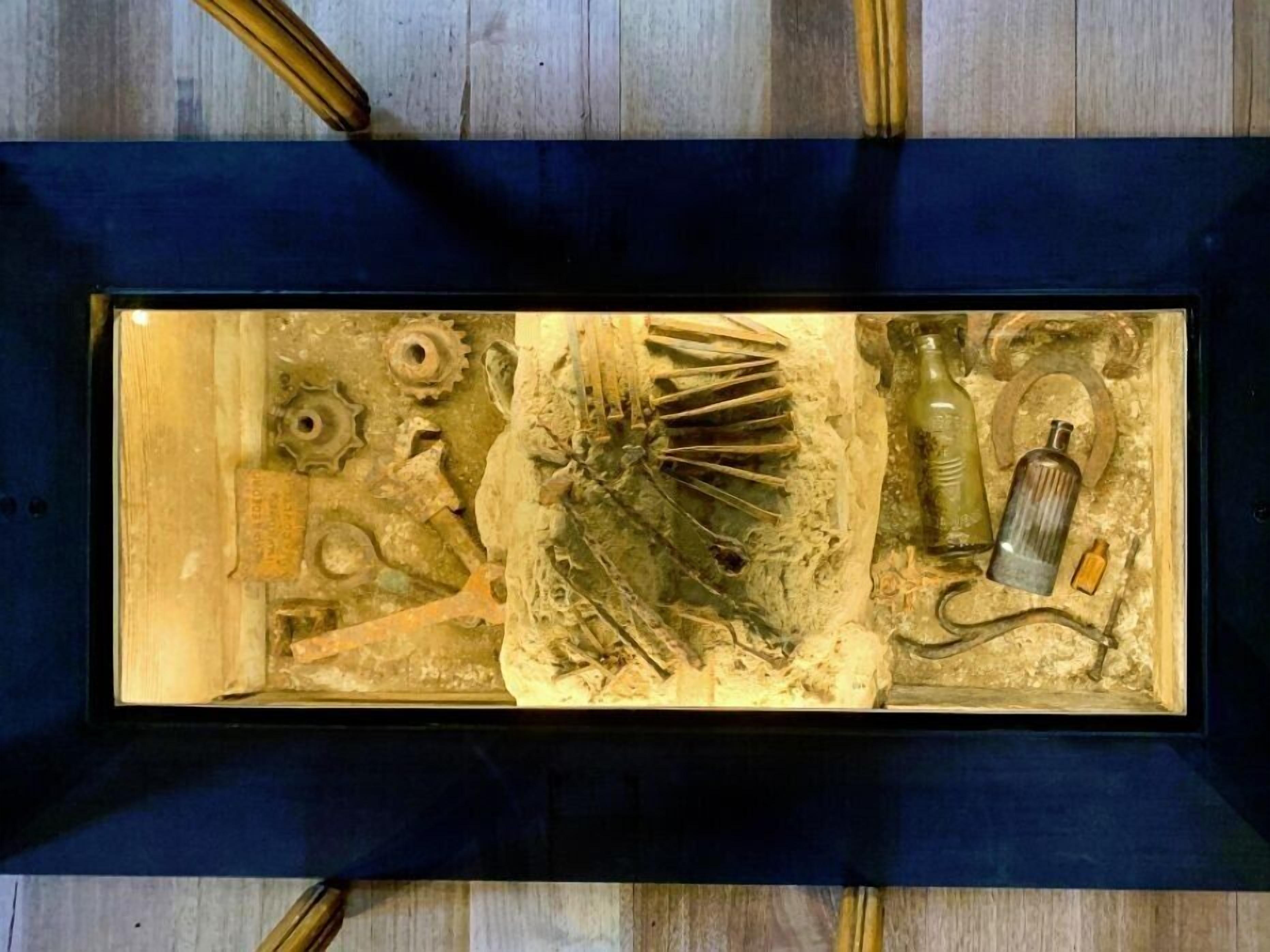 A rectangular display case containing a fossil, various tools, and a small bottle.