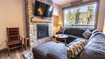 Flat-screen TV, fireplace, DVD player, books