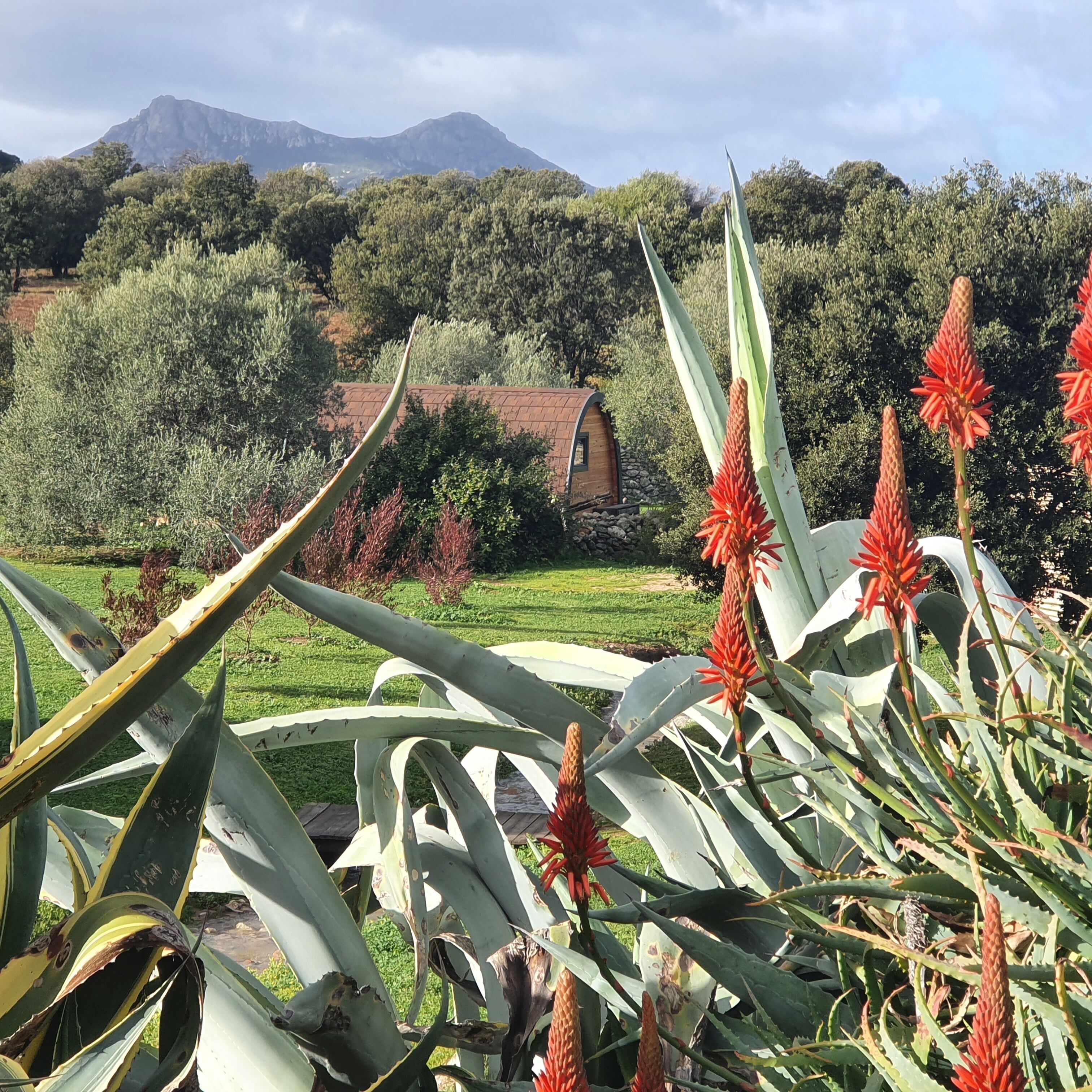 Terrein van de accommodatie