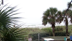 A golf cart parked near a beach with palm trees and a bench.