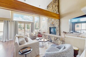 TV, fireplace, books