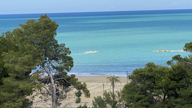 A beach with clear turquoise water, sandy shore, and dense green trees. - --SunRise-- (Montesilvano)