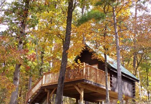 Exterior - Shady Pine Primitive Cabin 2 @Spring Lake Ranch (Potosi)