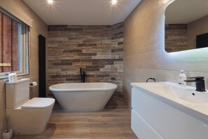 Shower, hair dryer, towels, toilet paper