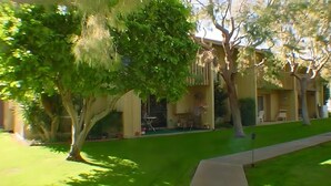 A residential area with a house, a well-maintained lawn, and a tree in the foreground. - Palm Desert Condo. Near Tennis Gardens, Public Golf, Dog Park. EZ on the wallet! (Palm Desert)