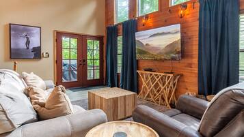 TV connectée, cheminée, lecteur de DVD, vidéothèque