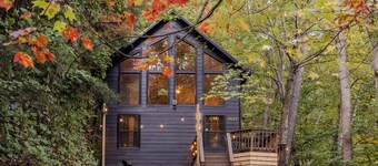 Private and Secluded Pet friendly cabin in the Smokies! 2bed/2bath