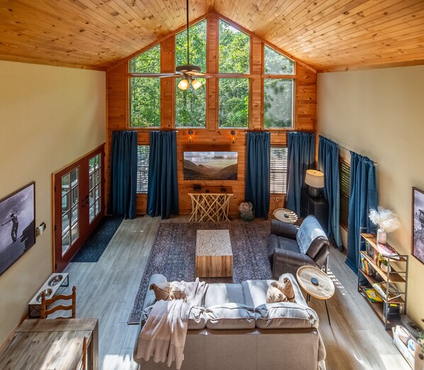 Smart TV, fireplace, DVD player, video library