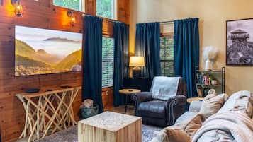 Smart TV, fireplace, DVD player, video library