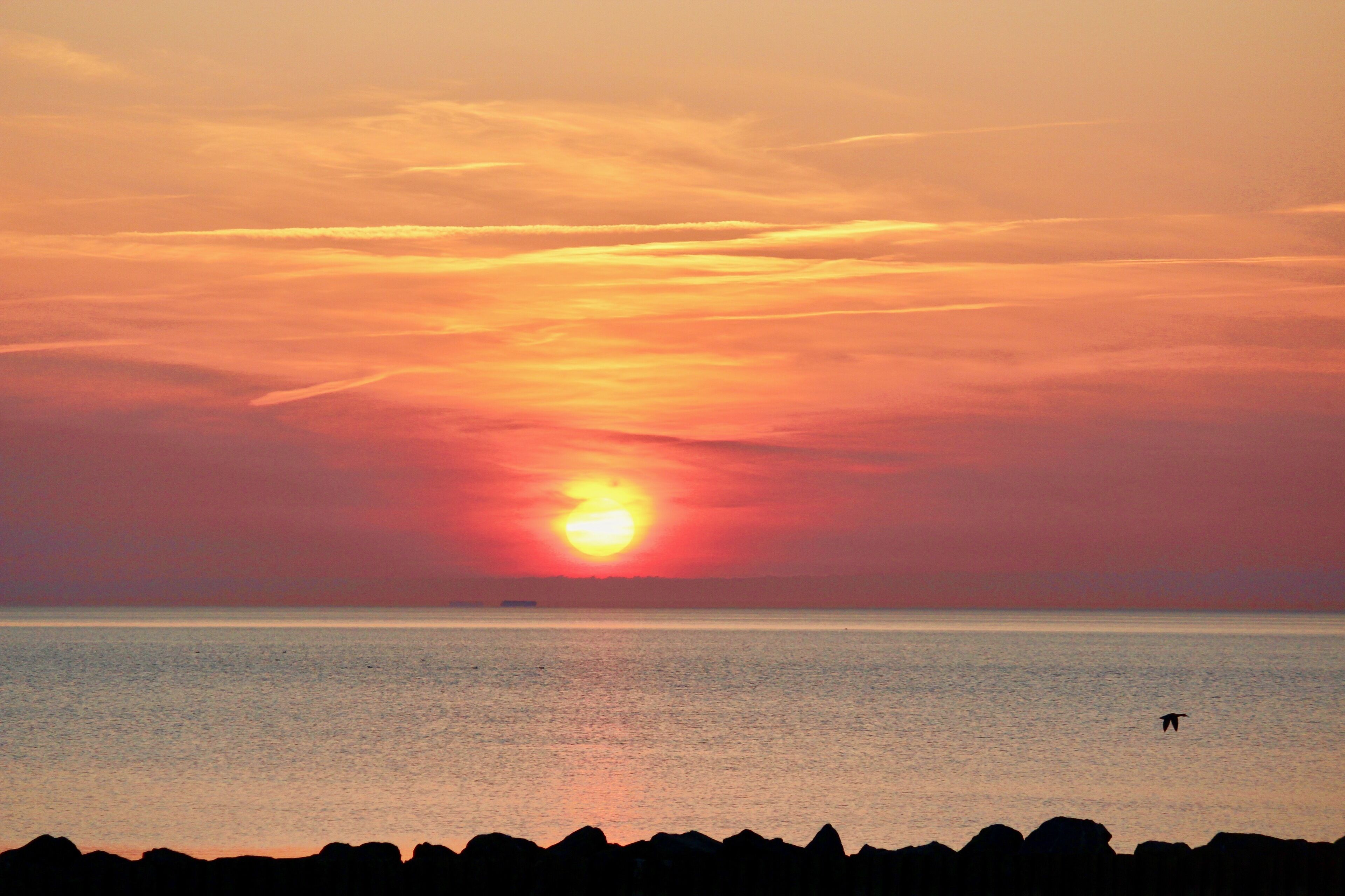 Auringonlasku tyynen meren yllä, ja taivaalla näkyy linnun siiluetti lennossa.