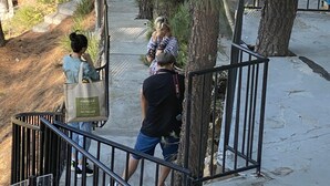 Un escalier avec des rampes en métal, entouré de pins.