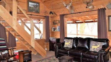 TV, fireplace, books