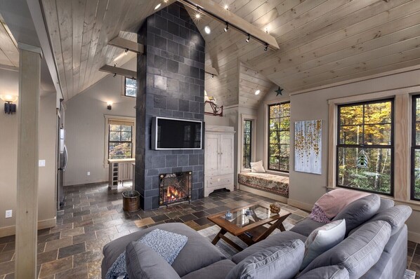 Smart TV, fireplace, books