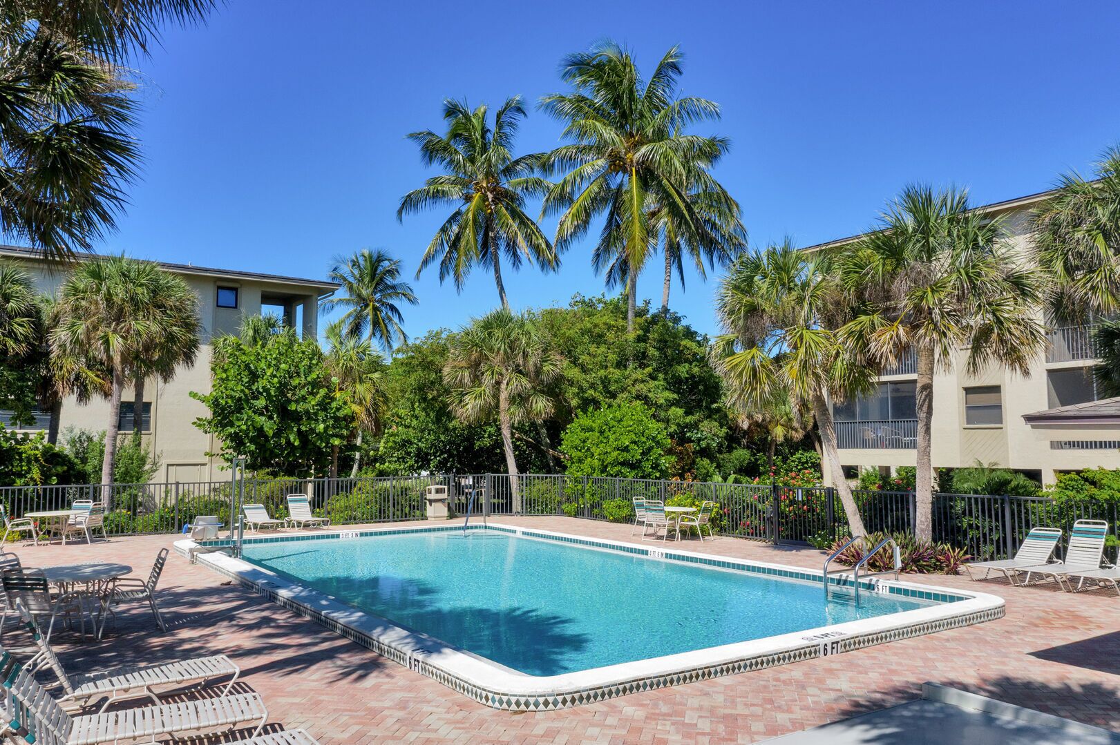 A rectangular swimming pool surrounded by lounge chairs and palm trees, with a building in the background.