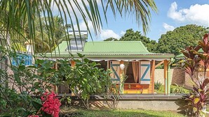 A small, single-story building with a green roof, surrounded by lush greenery and flowering plants. - Cottage La Perle  ( pool, BBQ, view on moutains, sea, rivers, forests) (Basse-Terre)