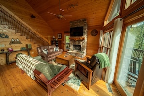 Smart TV, fireplace, DVD player, books
