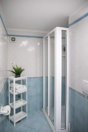 Shower, hair dryer, bidet, towels