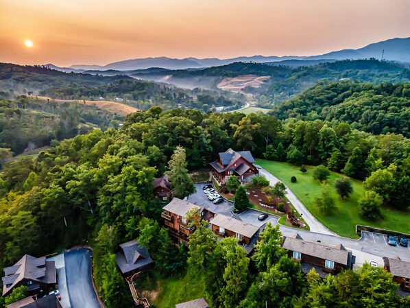 A residential area with houses surrounded by dense greenery and a view of distant mountains.