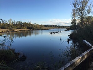 Nicht klassifiziertes Bild, 3 von 45, Schaltfläche