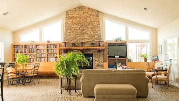 TV connectée, cheminée, lecteur de DVD, livres