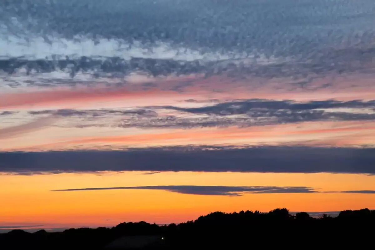 A sunset with a clear sky and silhouettes of trees.