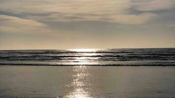 Plage à proximité, chaises longues, serviettes de plage