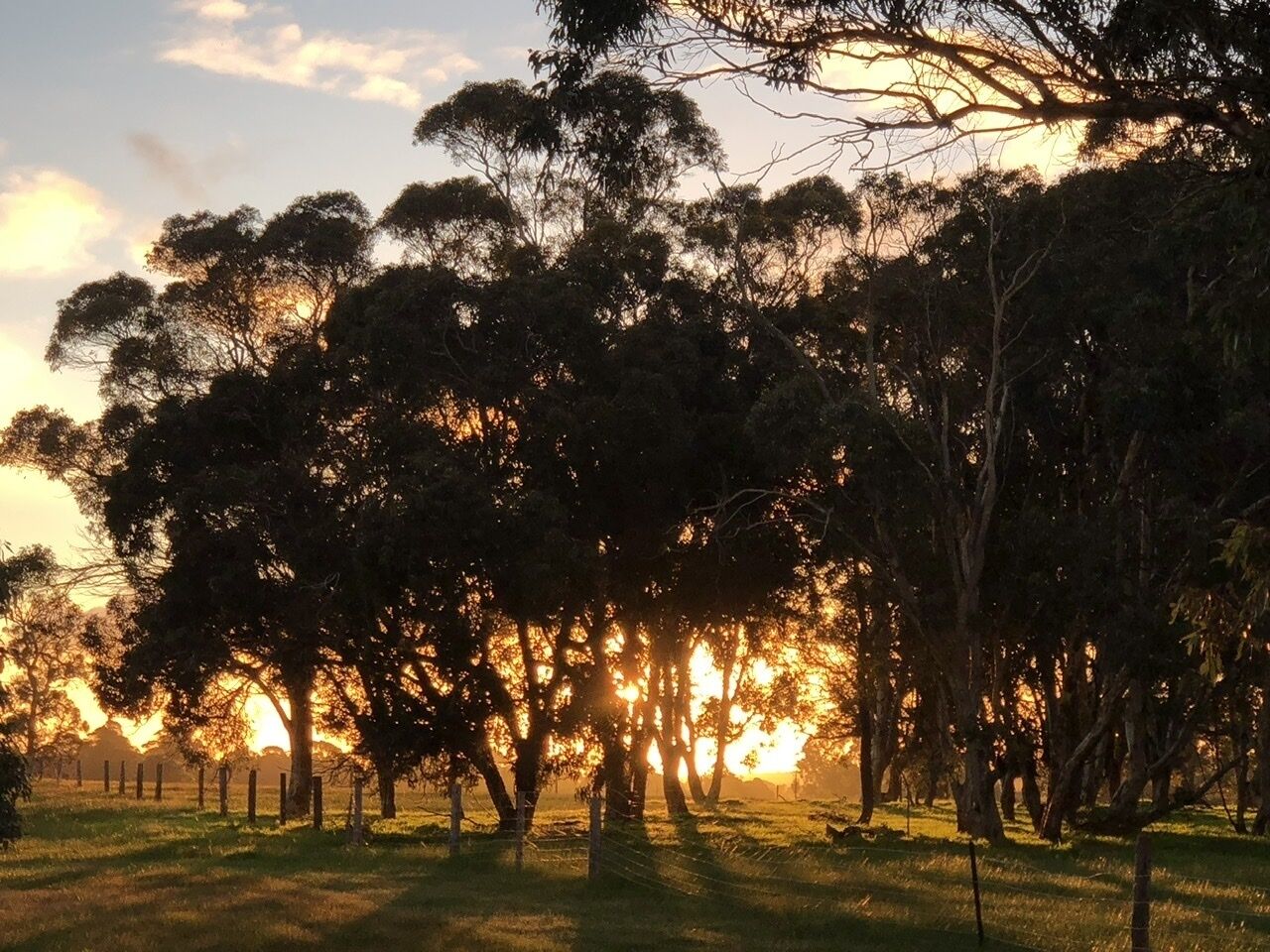 The FarAway House - holiday home in quiet rural location near wineries and walks