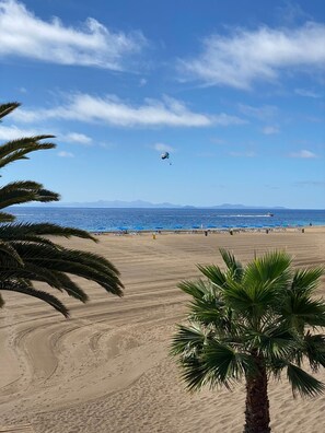 A beach with a clear sky, palm trees, and a distant view of mountains.