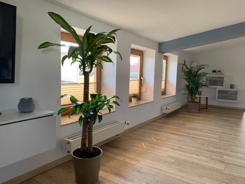 Ferienwohnung In den Wiesen - Ferienwohnung