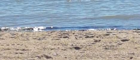 Playa en los alrededores